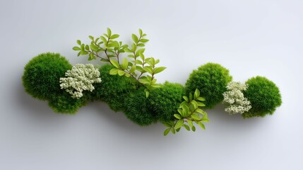 Obraz premium Lush green moss arrangement with delicate white flowers on a light background.