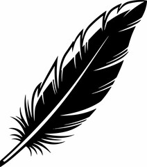 vector illustration of feather