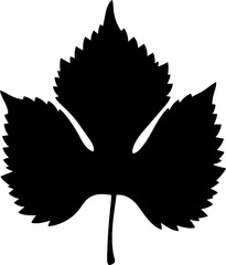 vector illustration of a black silhouette of a leaf