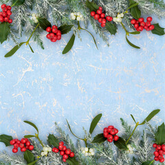 Winter Xmas traditional flora background, with holly, red berries, mistletoe, snow covered fir on...