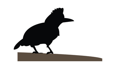 Amazonian umbrellabird bird Silhouette Design  And Vector Illustration. 