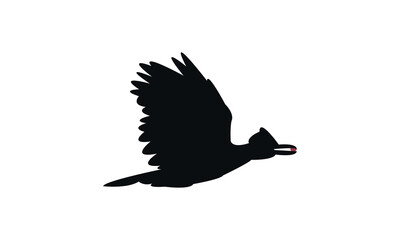 Amazonian umbrellabird bird Silhouette Design  And Vector Illustration. 