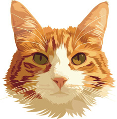 Cat head vector illustration