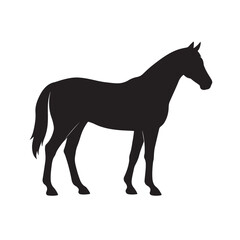 Silhouette of a Horse Standing Gracefully in Side Profile View