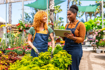 Garden center workers discussing inventory using digital tablet