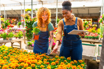 Garden center workers discussing and checking flowers with digital tablet