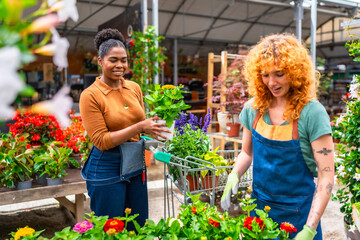Garden center workers taking care of plants in greenhouse