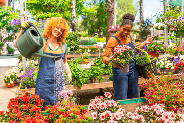 Garden center workers taking care of colorful flowers