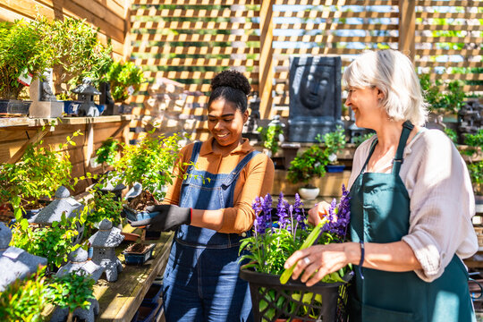 Garden center workers taking care of bonsai and plants - Powered by Adobe