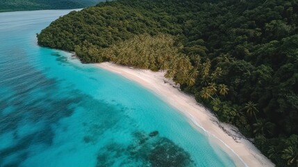 Serene tropical beach, lush jungle, turquoise water