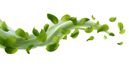 Fresh mint leaves floating and swirling on a wavy textured background abstract concept