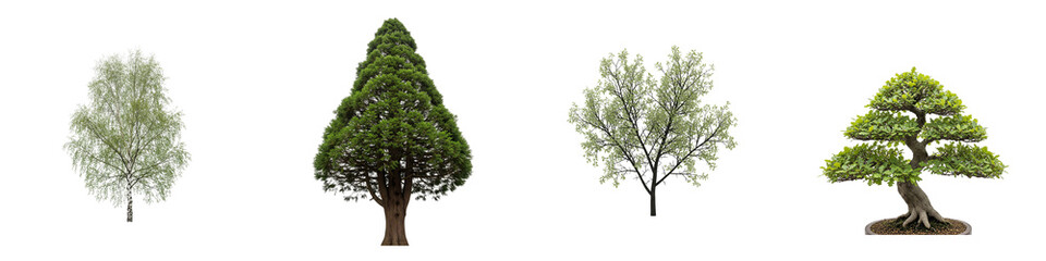 Forest Trees Isolated Set