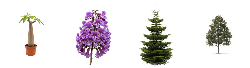 Fototapeta premium Forest Trees Isolated Set