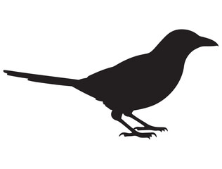 MAGPIE SILHOUETTE