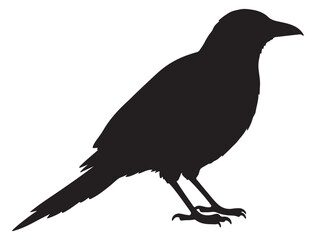 MAGPIE SILHOUETTE