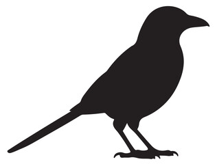 MAGPIE SILHOUETTE