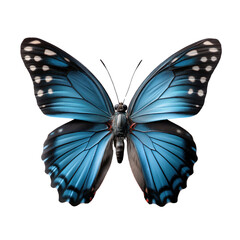 Obraz premium Elegant Blue Butterfly with on isolated background, generative ai