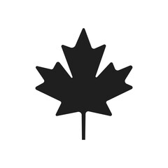 Maple leaf icon on white background.