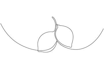 Continuous line drawing of lemons on white background