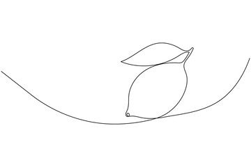 Continuous line drawing of lemons on white background