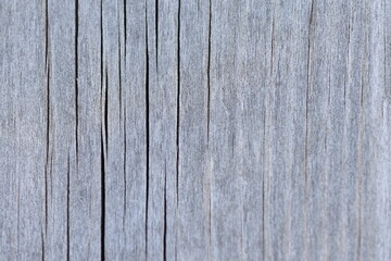 Close-up texture of weathered wooden surface. Vertical grain and cracks provide a natural, rustic texture. Ideal for use as background.