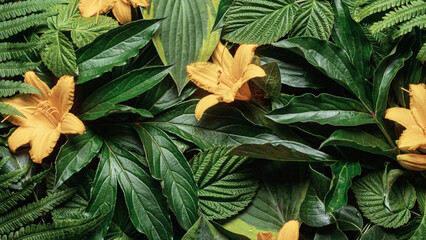 Elegant arrangement of yellow blossoms and glossy green leaves forms a seamless botanical...
