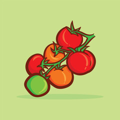 Colorful tomato plant vector illustration image for banner poster book cover