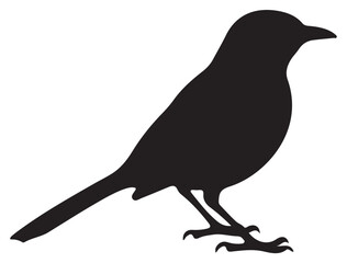 MOCKINGBIRD SILHOUETTE