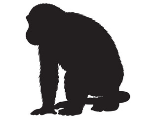 MONKEY SILHOUETTE