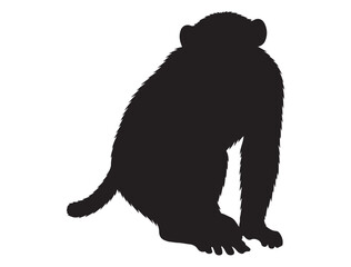 MONKEY SILHOUETTE