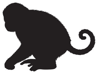 MONKEY SILHOUETTE