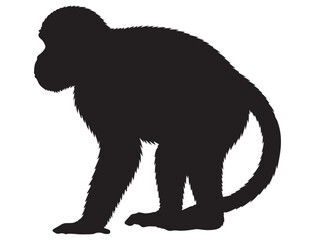MONKEY SILHOUETTE