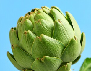 Detailed View of Fresh Artichoke Leaves