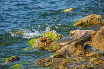 Rocky coast. Waves crashing on rocks covered with green moss.