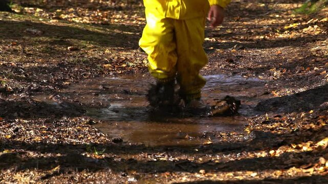 Happy child in yellow rain suit jumping in puddle in park on a sunny day. Active outdoor play, fun and nature exploration in Scandinavian woodland environment.