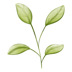 green tea Mochi