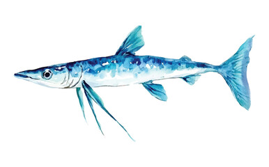 Fototapeta premium Fish needle watercolor vector illustration, underwater ocean animal art isolated on white background