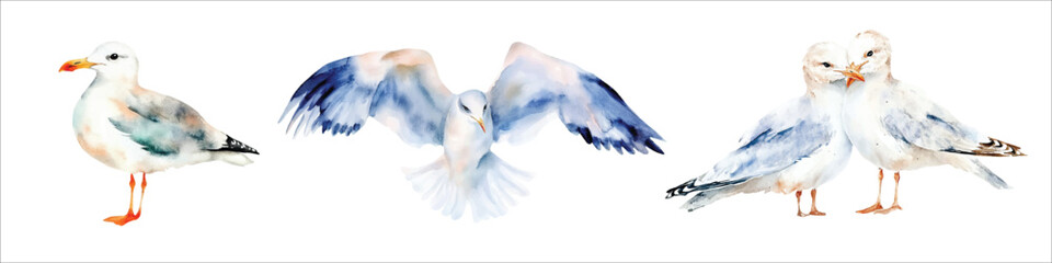 watercolor gull swooping for fish, isolated on a white background. Flying seagull vector illustration