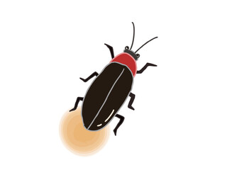 Illustration of a firefly emitting light from its butt