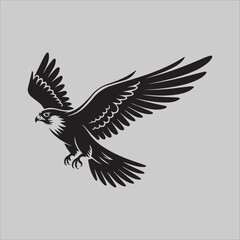 Obraz premium Hawk of Honor