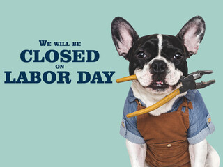 Signboard with the inscription We will be closed on Labor Day. Cute puppy. Closeup. Studio shot....