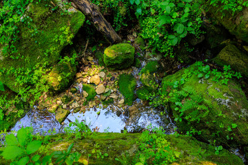 A stream of water is surrounded by moss and rocks