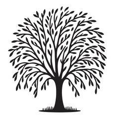 Obraz premium Willow Tree 
