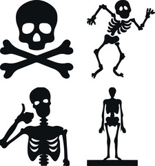 skull and crossbones