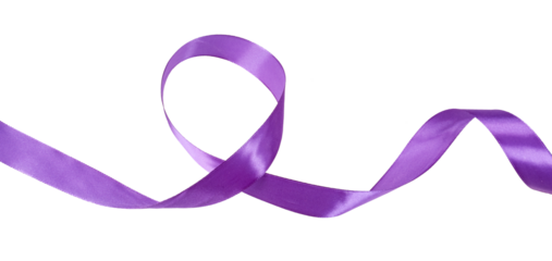dark purple ribbon bow banner decoration isolated on white or transparent png