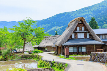 初夏の相倉合掌造り集落　五箇山　富山県南砺市　Ainokura Gassho-style Village in early summer. Gokayama. Toyama Prefecture, Nanto City.