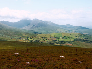 Green rolling hills give way to Strickeen Mountain and farmlands beyond in County Kerry, Ireland. The sky is bright and overcast, lending a soft light to the landscape.