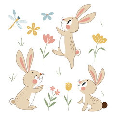 Cute Cartoon Rabbits with Flowers and Insects Illustration for Easter and Spring Designs on White