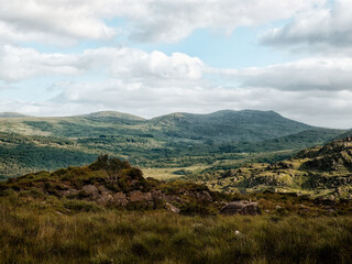 Untamed beauty showcased. Expansive green landscape basks under a clear sky. Remote, wild, and serene.