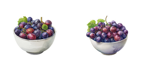 bowl of grapes watercolor vector illustration